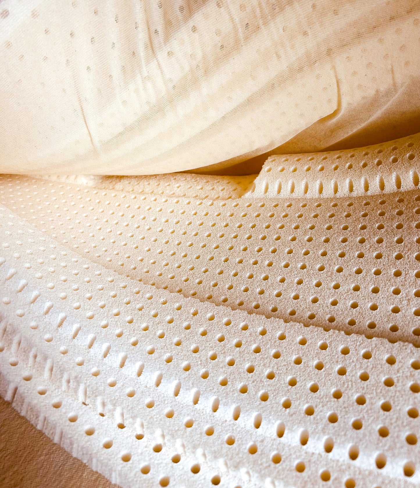 Werkmeister Latex Nacken-Stützkissen K L14