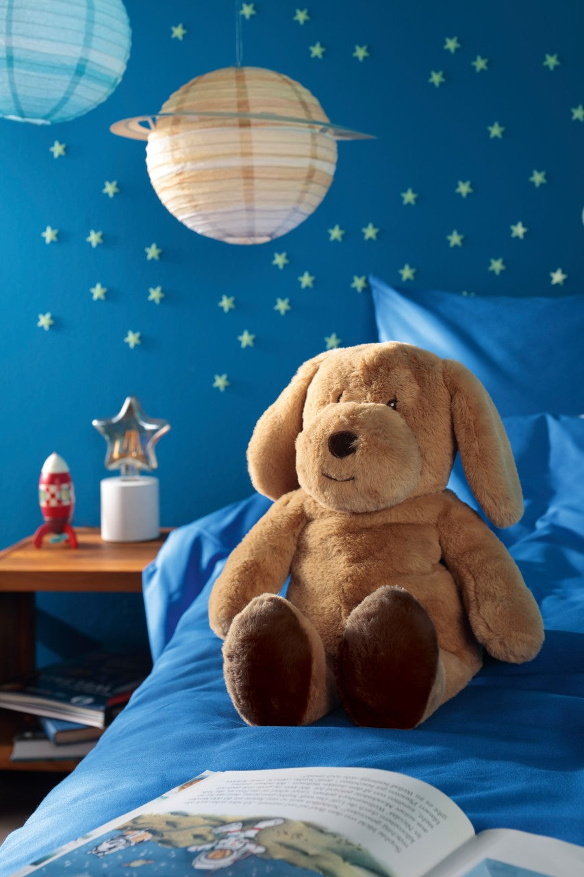 Biederlack Kuschelset "Dream Team" Max 70x100 cm