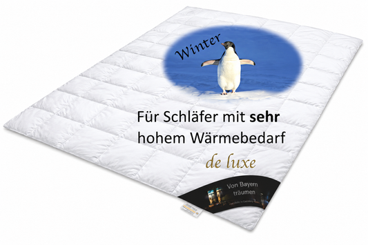 Schäfer Winterdecke "Von Bayern träumen"-100% Wildgänsedaunen