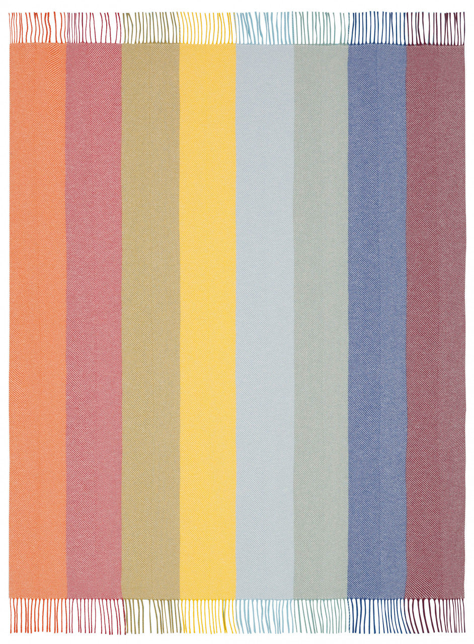 Biederlack Fransenplaid „Colour Lines“ 130x170 cm, mehrfarbig