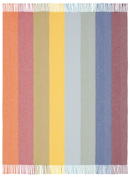 Biederlack Fransenplaid „Colour Lines“ 130x170 cm, mehrfarbig