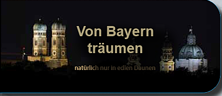 Schäfer Sommedecke von Bayern träumen-100% Wildgänsedaunen