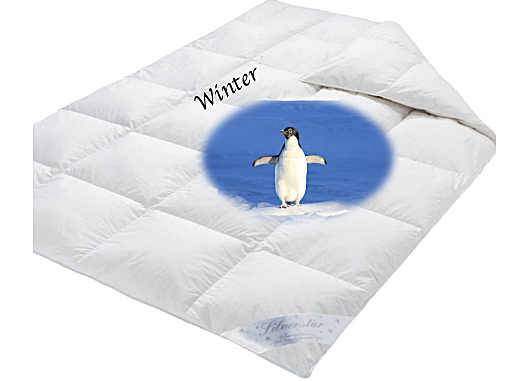 Schäfer Winter Bettdecke Silverstar "Anna" 90% Daunen 10% Federn
