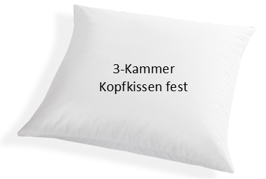 Schäfer 3 Kammer Kopfkissen fest 80x80 cm