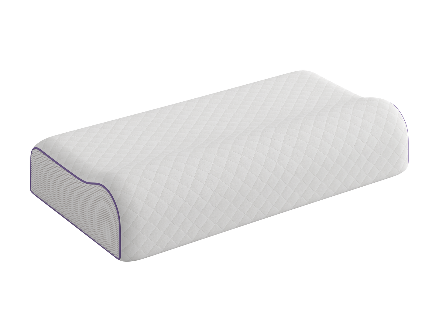 WERKMEISTER TWIN ZEN KISSEN  mit Teebaumextrakt-32x65x11cm