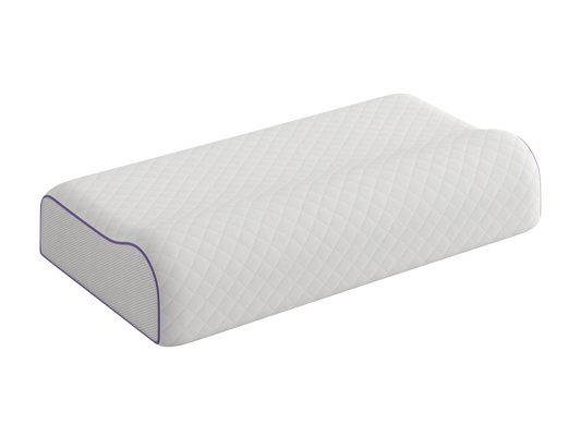 WERKMEISTER TWIN ZEN KISSEN  mit Teebaumextrakt-32x65x11cm